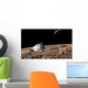 Scorched Space Capsule Moon Wall Decal