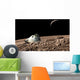 Scorched Space Capsule Moon Wall Decal
