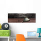 Scorched Space Capsule Storm Wall Decal