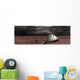 Scorched Space Capsule Storm Wall Decal