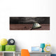 Scorched Space Capsule Storm Wall Decal