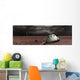 Scorched Space Capsule Storm Wall Decal