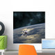 Astronaut Floating above Earth Wall Decal