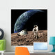 Astronaut Surveys His Situation Rocky Planet Wall Decal