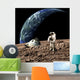 Astronaut Surveys His Situation Rocky Planet Wall Decal