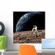 Astronaut Barren Rocky Planet Wall Decal