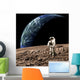 Astronaut Barren Rocky Planet Wall Decal