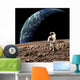 Astronaut Barren Rocky Planet Wall Decal