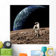 Astronaut Barren Rocky Planet Wall Decal