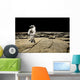 Astronaut Barren Planet Wall Decal