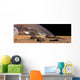 Large Planet Rises over Wall Decal