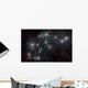 Artist's Depiction Constellation Aquarius Wall Decal