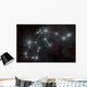 Artist's Depiction Constellation Aquarius Wall Decal