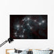 Artist's Depiction Constellation Aquarius Wall Decal