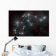 Artist's Depiction Constellation Aquarius Wall Decal