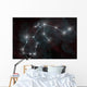Artist's Depiction Constellation Aquarius Wall Decal