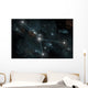 Artist's Depiction Constellation Cancer Wall Decal
