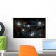 Artist's Depiction Constellation Capricorn Wall Decal
