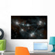 Artist's Depiction Constellation Capricorn Wall Decal