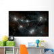 Artist's Depiction Constellation Capricorn Wall Decal