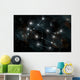 Artist's Depiction Constellation Gemini Wall Decal