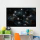 Artist's Depiction Constellation Gemini Wall Decal