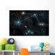 Artist's Depiction Constellation Libra Wall Decal