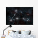 Artist's Depiction Constellation Pisces Wall Decal