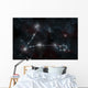 Artist's Depiction Constellation Pisces Wall Decal