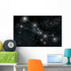 Artist's Depiction Constellation Taurus Wall Decal