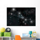 Artist's Depiction Constellation Taurus Wall Decal