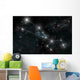 Artist's Depiction Constellation Taurus Wall Decal