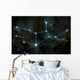 Artist's Depiction Constellation Virgo Wall Decal