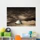 Scorched Space Capsule Lies Wall Decal