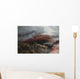 Mount Etna Lava Flow Wall Decal Design 2