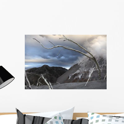 Chaiten Eruption Steaming Dome Wall Decal shown on a wall