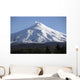 Villarrica Steaming Crater Araucania Wall Decal