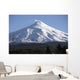 Villarrica Steaming Crater Araucania Wall Decal
