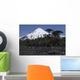 Llaima Volcano Araucania Region Wall Decal