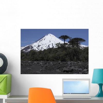 Llaima Volcano Araucania Region Wall Decal shown on a wall