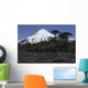 Llaima Volcano Araucania Region Wall Decal