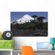 Llaima Volcano Araucania Region Wall Decal
