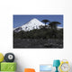 Llaima Volcano Araucania Region Wall Decal