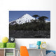Llaima Volcano Araucania Region Wall Decal