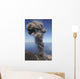 Stromboli Ash Eruption Aeolian Wall Decal