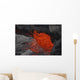 Erta Ale Fountaining Lava Wall Decal Design 4