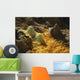 Dallol Geothermal Area Danakil Wall Decal Design 5