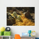 Dallol Geothermal Area Danakil Wall Decal Design 5