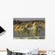 Dallol Geothermal Area Danakil Wall Decal Design 4