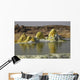 Dallol Geothermal Area Danakil Wall Decal Design 4